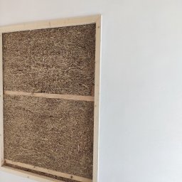 Wykonanie elewacji Nysa 4