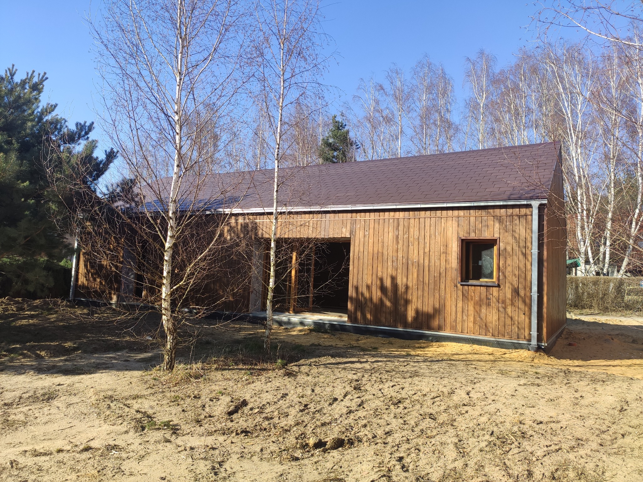 Nowoczesny, parterowy dom modułowy z drewnianą elewacją i brązowym dachem, otoczony piaszczystym terenem i młodymi brzozami, widziany w słoneczny dzień.