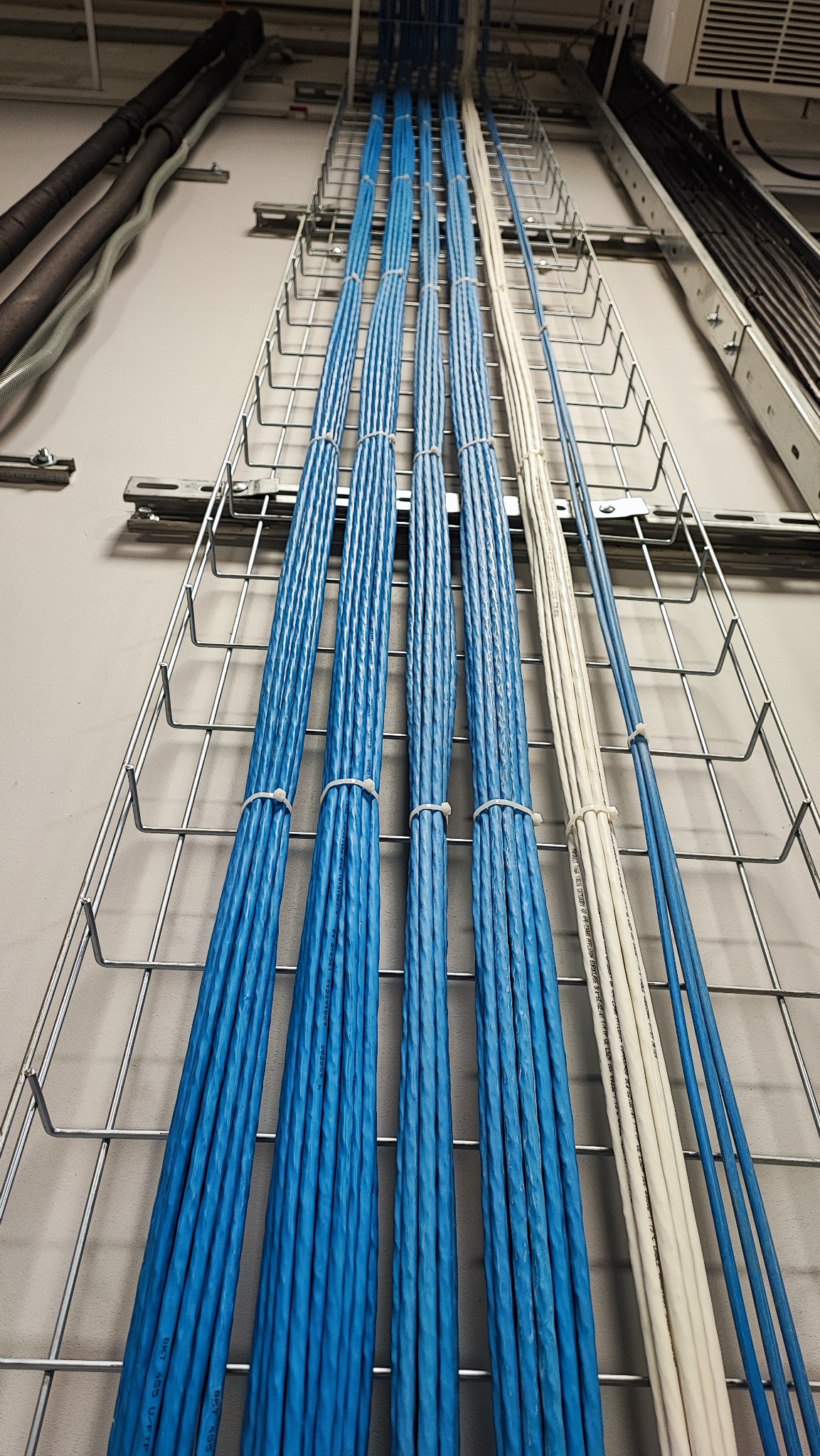 Równoległe wiązki niebieskich i białych kabli UTP ułożone w metalowej korycie kablowej, przymocowane opaskami zaciskowymi, widoczne fragmenty etykiet na kablach.