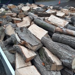 Pielęgnacja ogrodów Zagórze śląskie 1