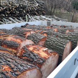 Pielęgnacja ogrodów Zagórze śląskie 2