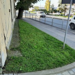 Pielęgnacja ogrodów Zagórze śląskie 3