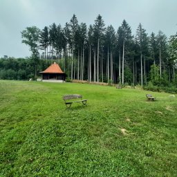 Pielęgnacja ogrodów Zagórze śląskie 4