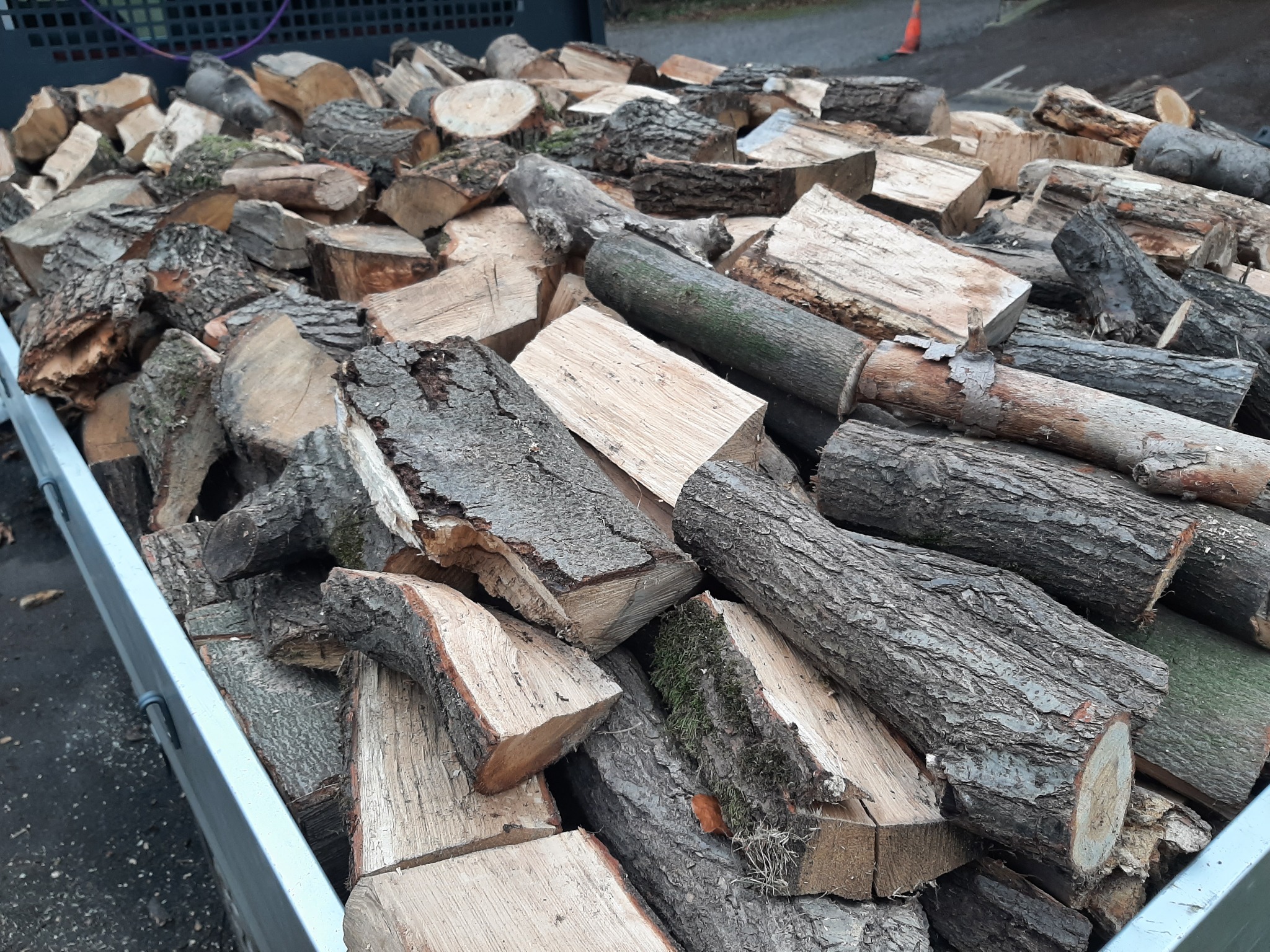 Stos pociętego drewna opałowego w metalowej skrzyni, widoczne kawałki z korą i mchem.