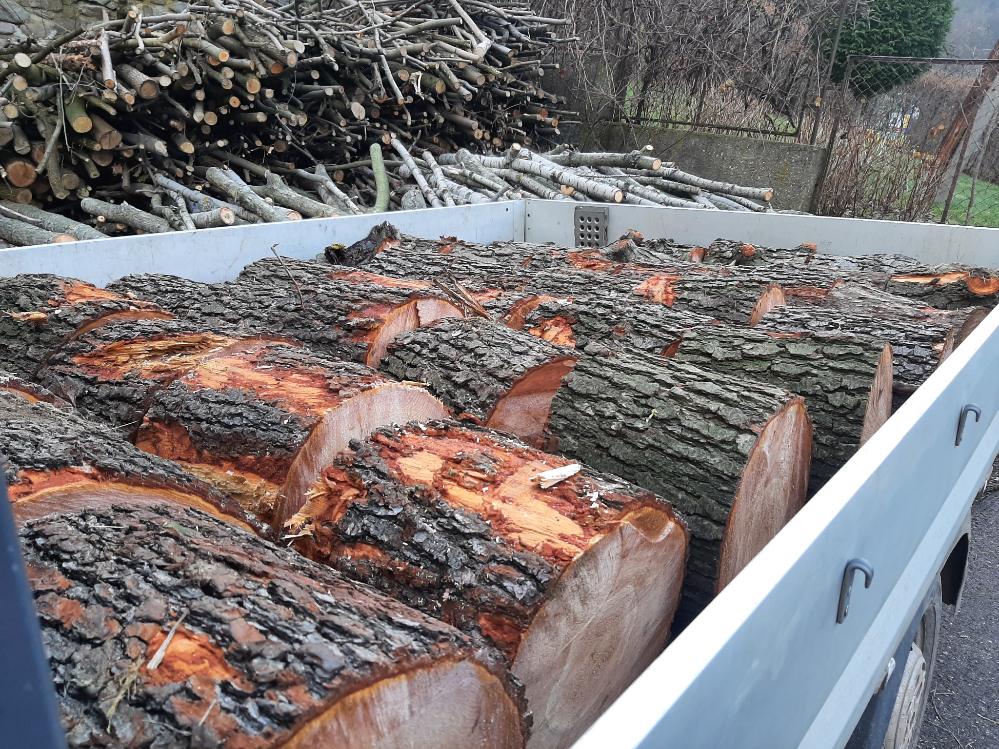 Kłody drewna w skrzyni samochodu dostawczego, z tyłu sterta gałęzi i widok na zarośnięty ogród.