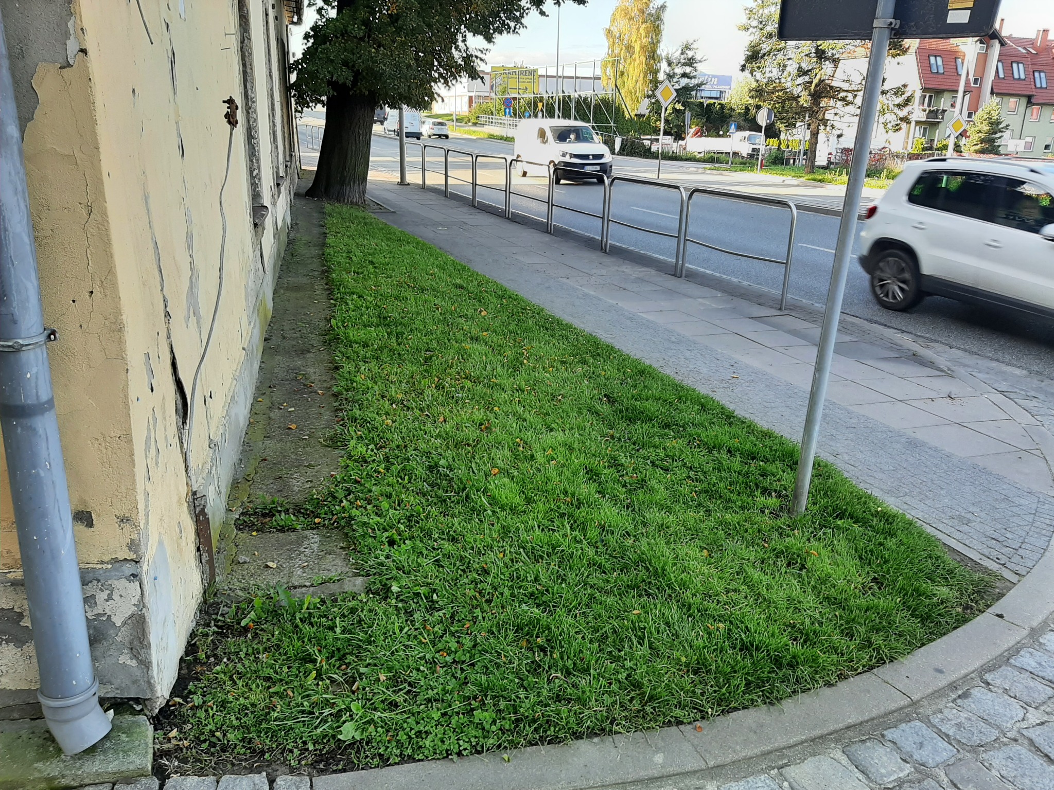 Kadr z poziomu chodnika przedstawia fragment trawnika wzdłuż ulicy, przylegającego do budynku z odpryskującą farbą. W tle widoczny ruch uliczny i szpaler drzew.