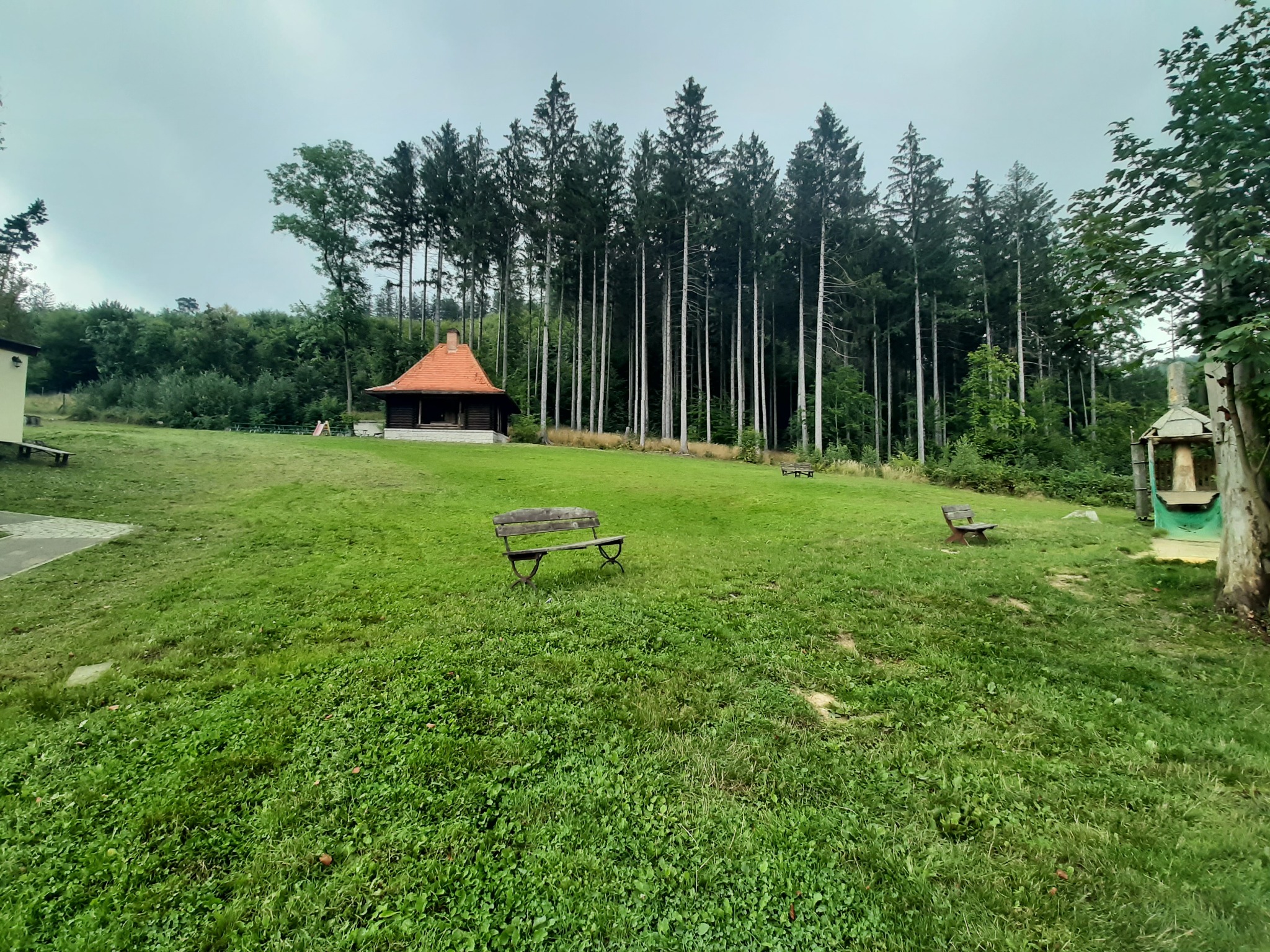Rozległy trawnik z drewnianą ławeczką na pierwszym planie, w tle budynek z czerwonym dachem otoczony wysokimi drzewami iglastymi.