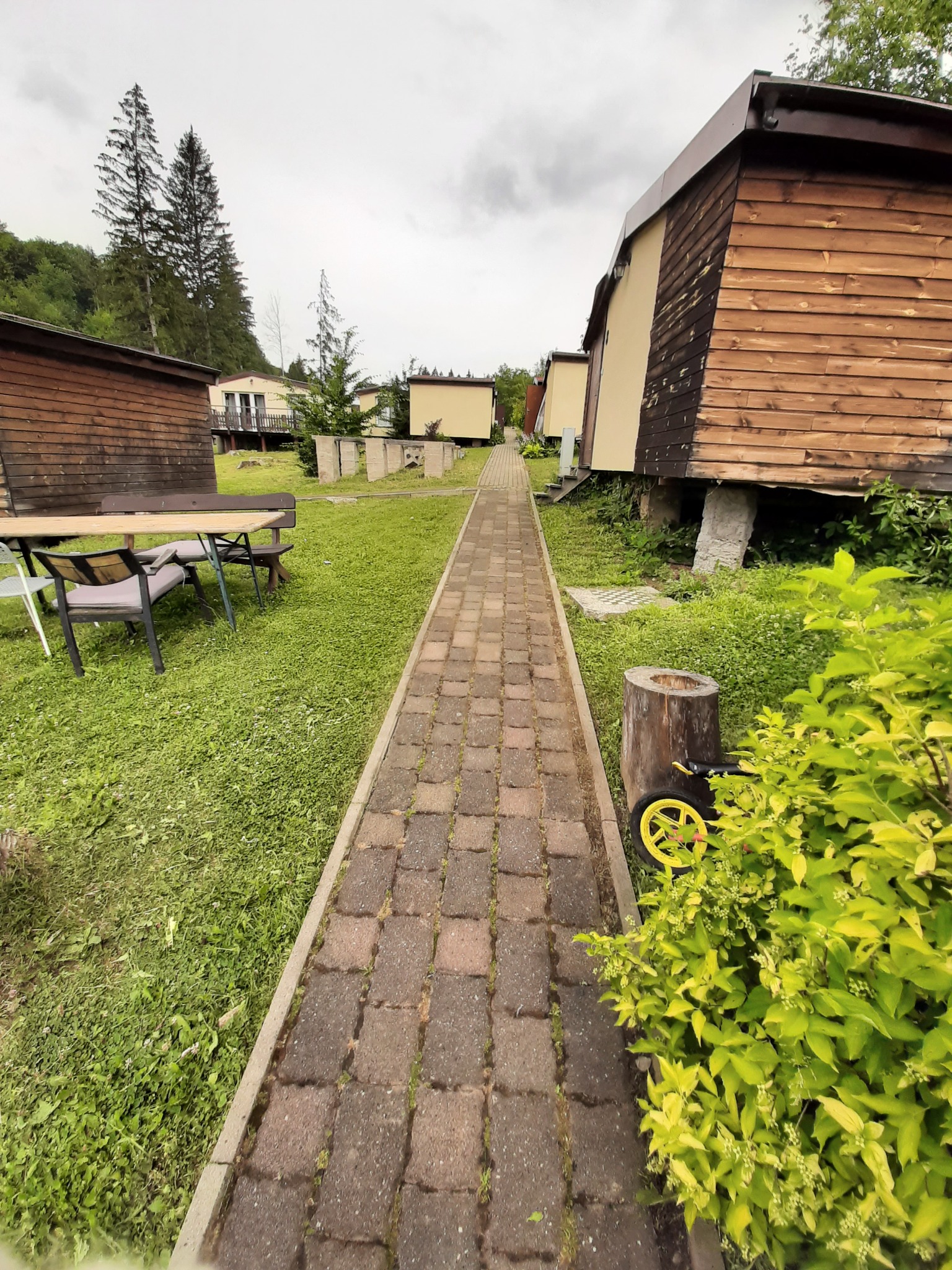 Długa, brukowana ścieżka prowadzi między drewnianymi domkami letniskowymi na nierówno skoszonej trawie, z widocznym pniem drzewa z żółtymi kołami dekoracyjnymi i bujną roślinnością z przodu.