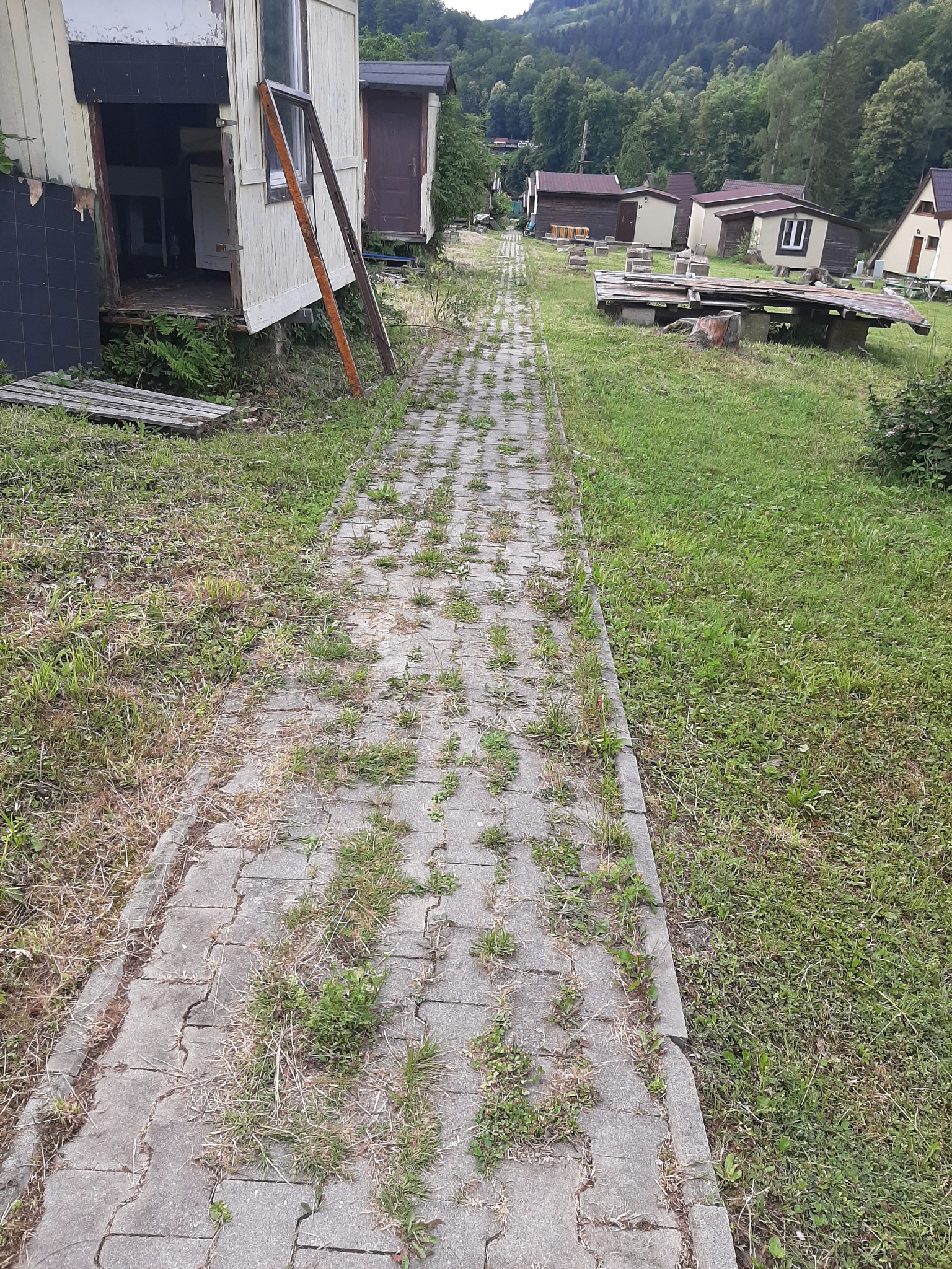 Betonowa ścieżka z chwastami prowadząca pomiędzy zaniedbanymi budynkami w otoczeniu zieleni i drzew.