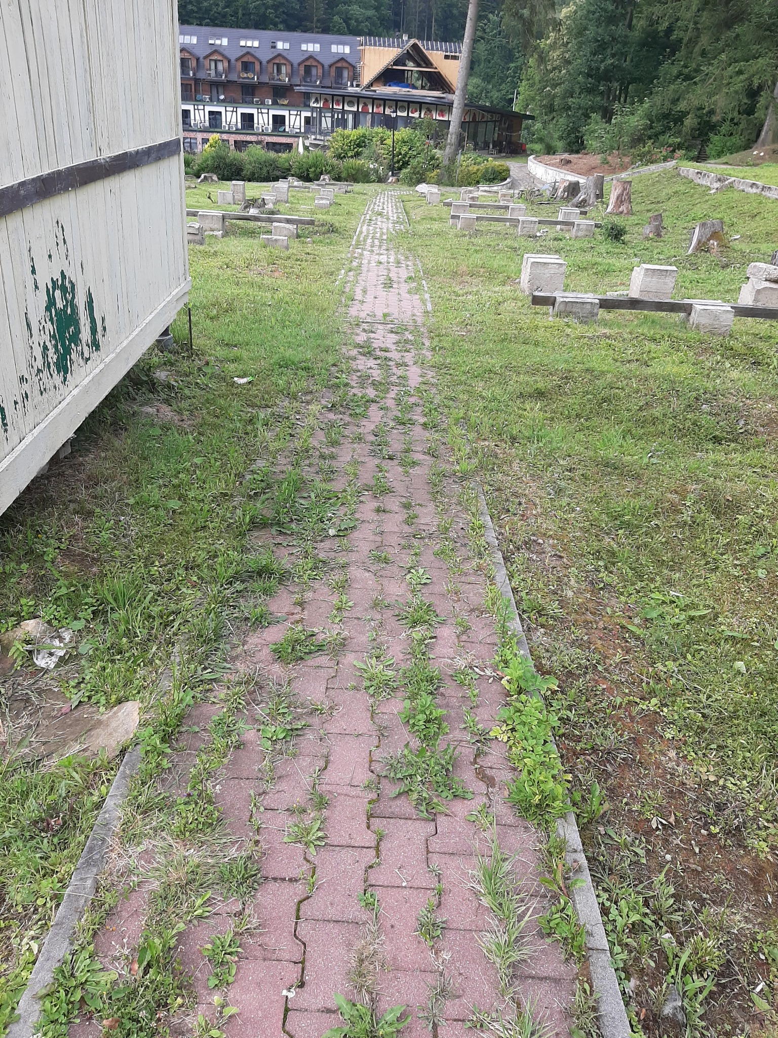 Zarośnięta chwastami ścieżka z czerwonej kostki prowadząca przez zaniedbany teren zielony z widocznymi pniakami po wycince drzew i fragmentem obdrapanej przyczepy w tle.