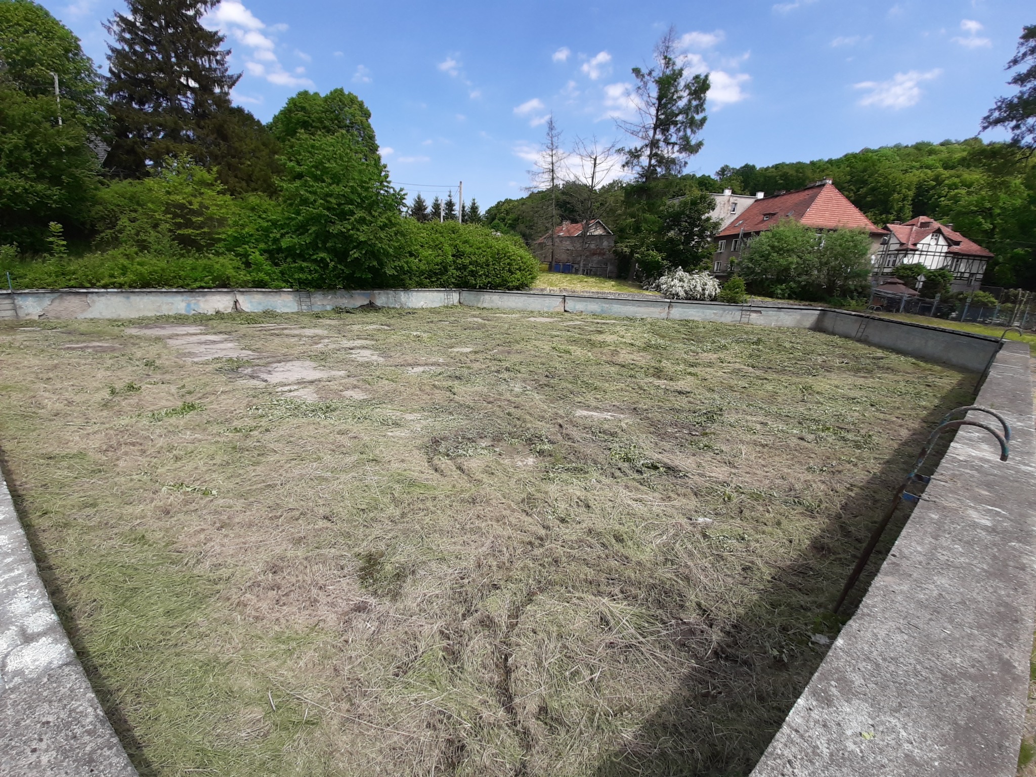 Opuszczony basen wypełniony skoszoną trawą, widoczne drabinki i betonowe obrzeża, w tle zabudowania i drzewa.