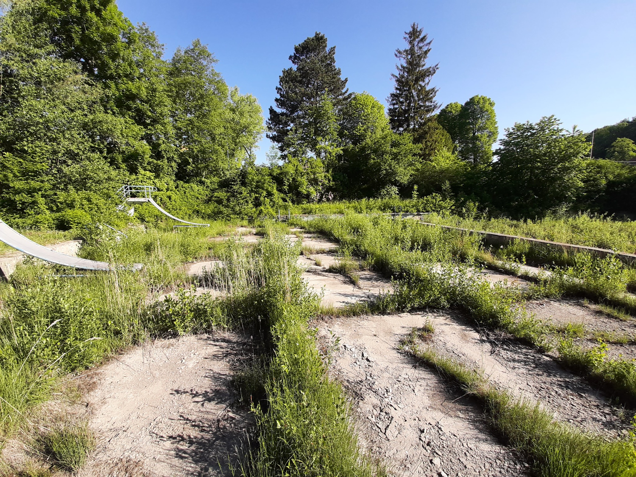 Zarośnięty, betonowy teren z pozostałościami konstrukcji, prawdopodobnie po basenie, otoczony drzewami i krzewami w słoneczny dzień.
