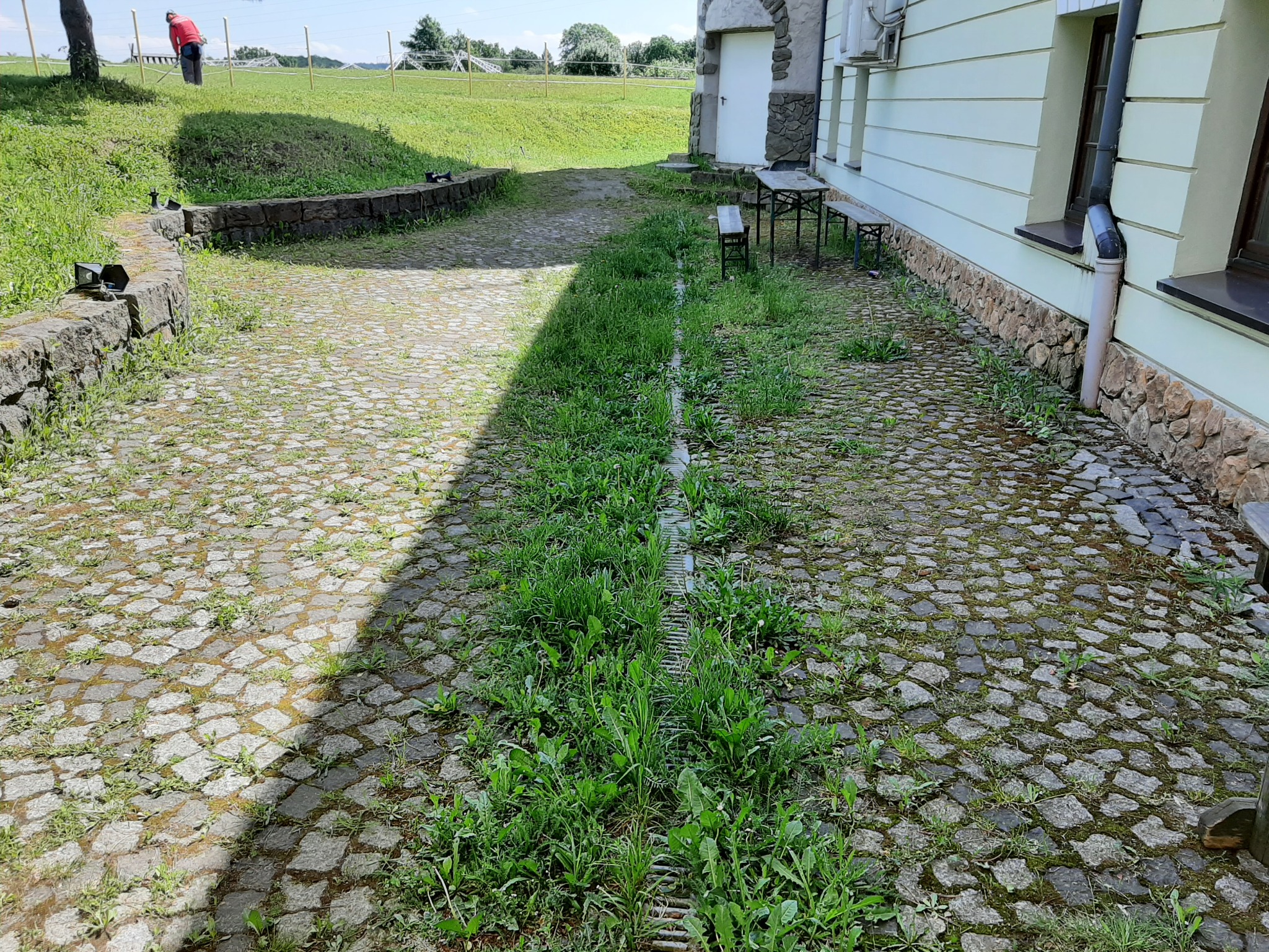 Niedbale utrzymany podjazd z kostki brukowej z przerwami porośniętymi trawą i chwastami, widoczny drenaż liniowy zarośnięty roślinnością, budynek z jasną elewacją w tle.