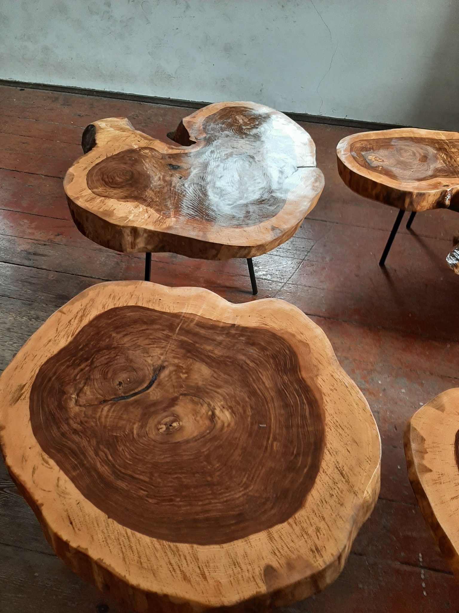Trzy stoliki kawowe z plastrów drewna o nieregularnych kształtach, osadzone na cienkich, czarnych nóżkach, ustawione na starej, brązowej podłodze. Blaty stolików lakierowane, ukazują słoje drewna.