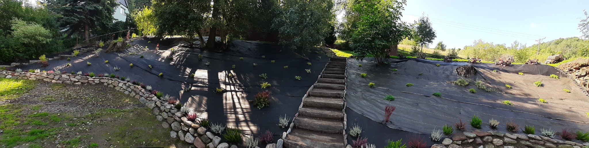 Ukształtowany teren z czarną agrowłókniną, nowo posadzone rośliny, kamienne schody prowadzące na górę, kamienny murek oporowy