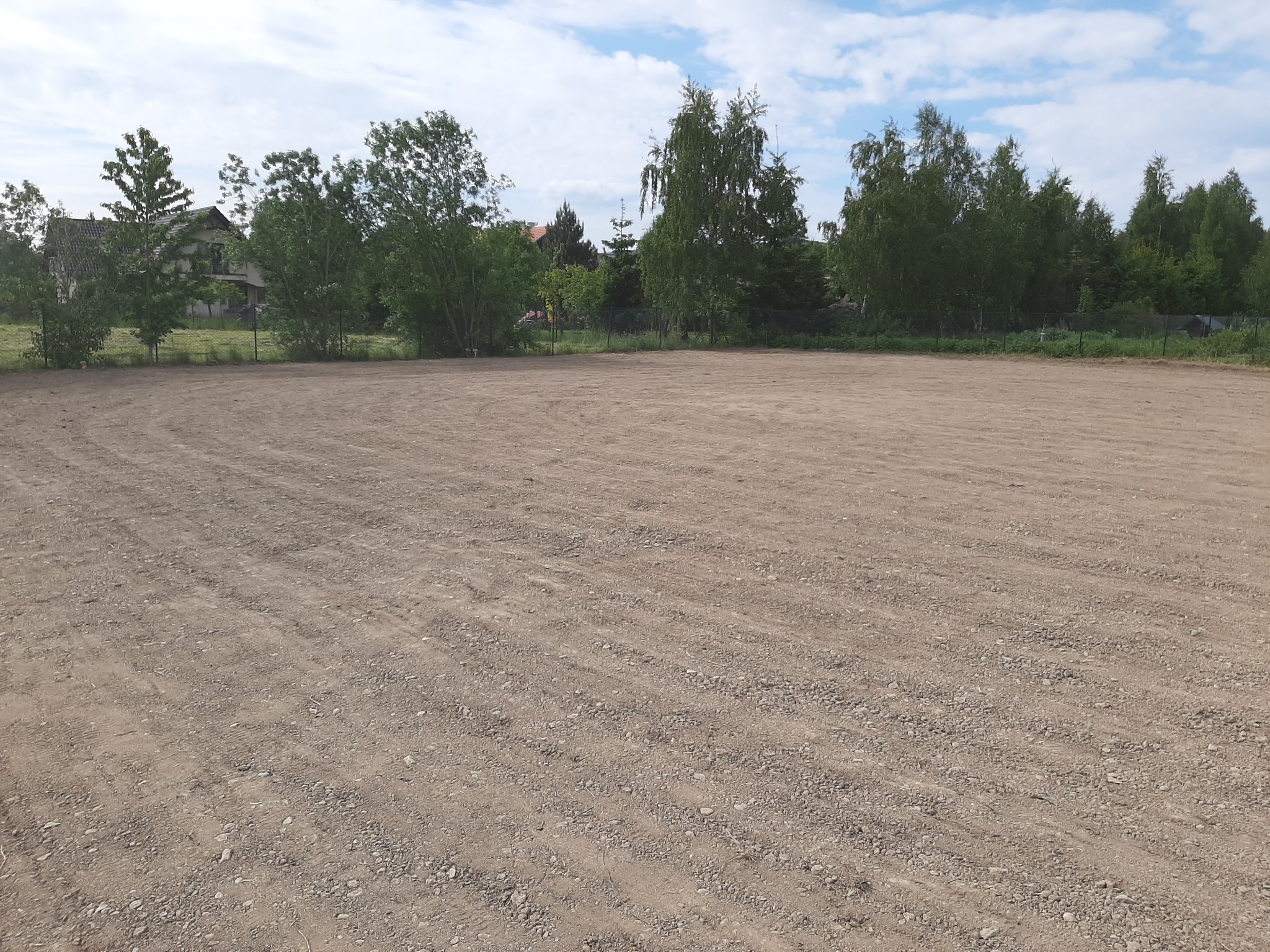 Przygotowany teren pod trawnik z widocznymi śladami po bronowaniu, w tle drzewa i budynek mieszkalny.