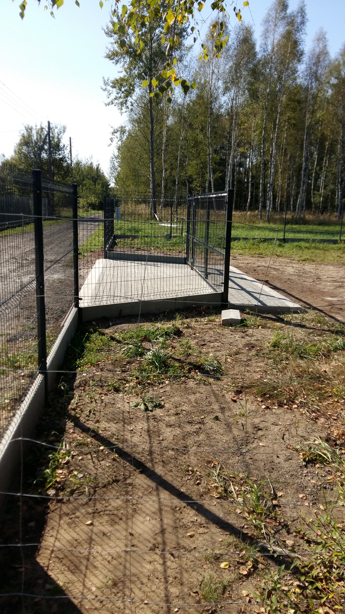 Nowoczesne, metalowe ogrodzenie panelowe z betonową podmurówką i wylewką, otoczone zielenią i drzewami, w słoneczny dzień. Widok z perspektywy ziemi.