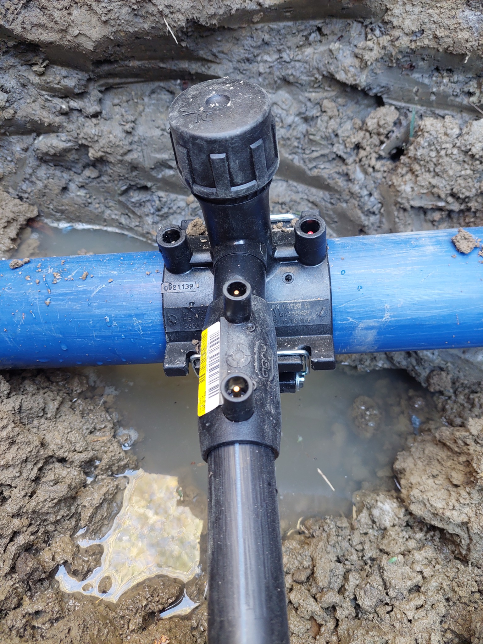 Złącze z czarnego tworzywa, łączące niebieską rurę z czarną, pionową rurą, umieszczone w wykopie z mokrą, gliniastą ziemią.