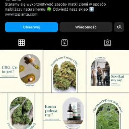 Profil firmy ToPlanta na Instagramie prezentujący posty dotyczące produktów CBD, CBG i innych kannabinoidów w Świdnicy. Widoczne zdjęcia suszu konopnego, olejków i roślin konopi.