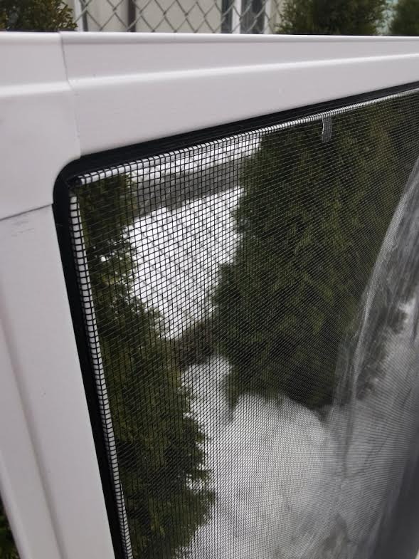 Zamontowana moskitiera ramkowa w białym oknie, widok na zieleń za oknem.