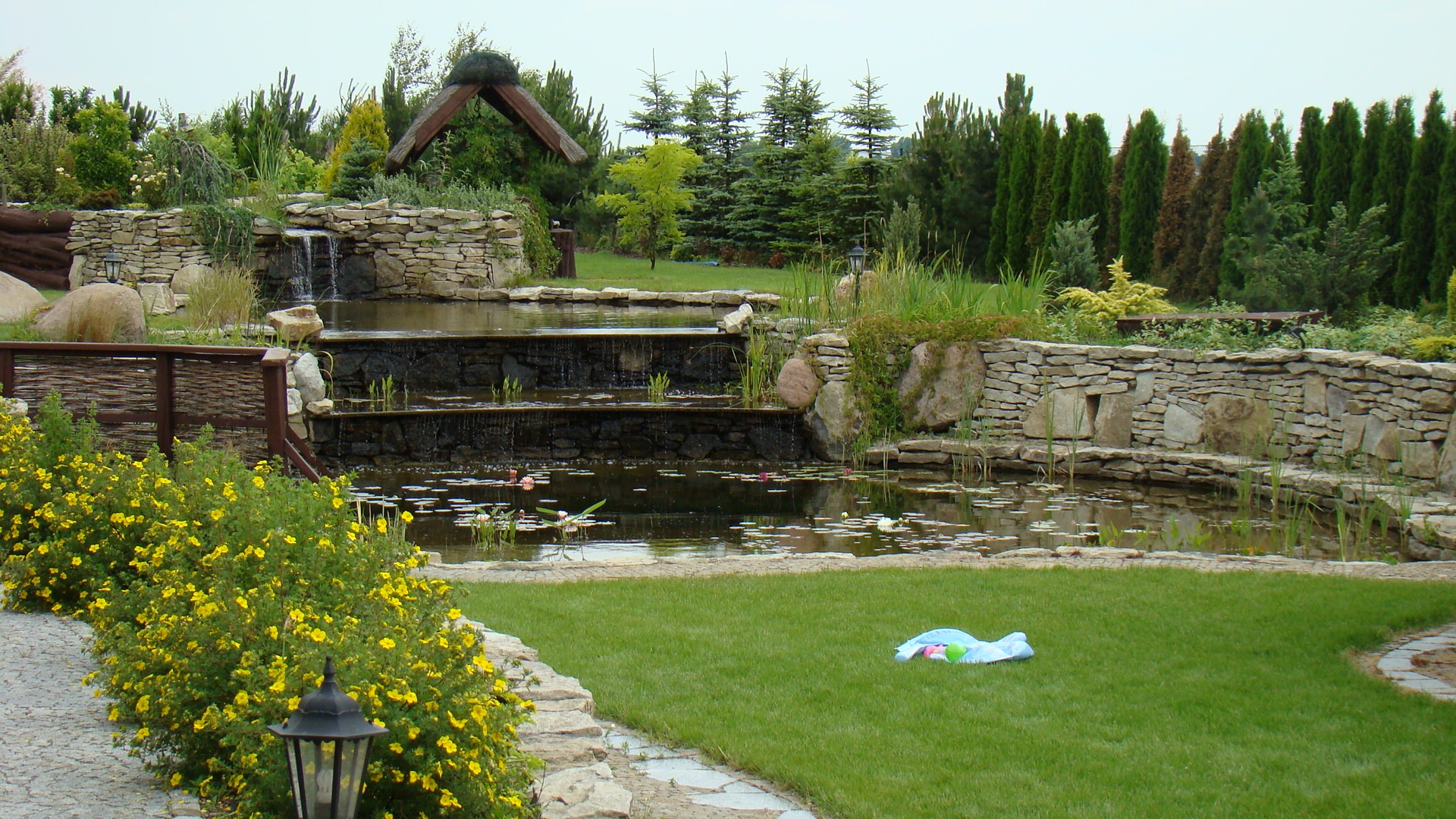 Ogród z kaskadowym stawem, kamiennymi brzegami, wodospadem i roślinnością wodną, otoczony trawnikiem i ozdobnymi krzewami z żółtymi kwiatami, w tle widoczna drewniana konstrukcja zadaszenia.