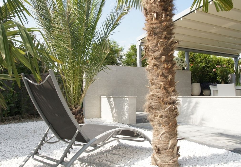 Nowoczesny ogród z leżakiem, palmami, białymi kamieniami i pergolą w tle, tworzący relaksującą strefę wypoczynkową.