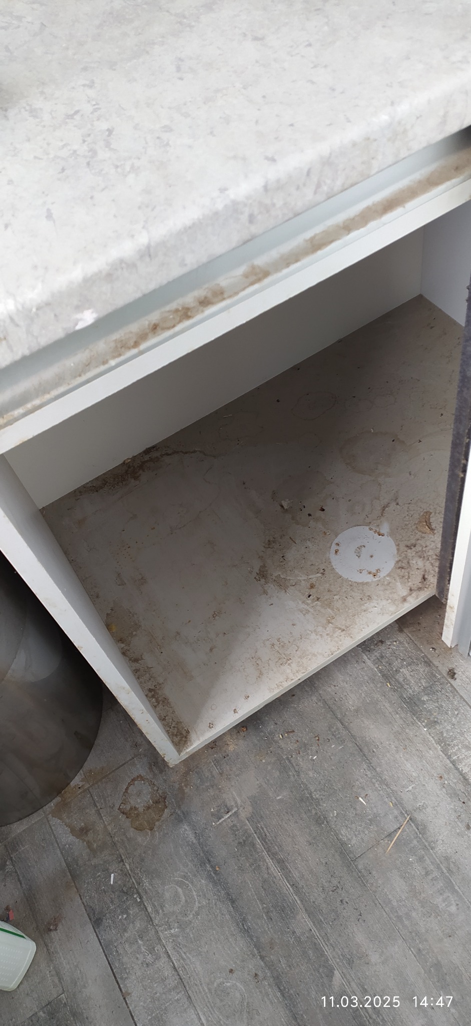 Brudna, pusta szafka pod zlewem z widocznymi plamami i zabrudzeniami na dnie, oraz resztkami zanieczyszczeń na podłodze z paneli.