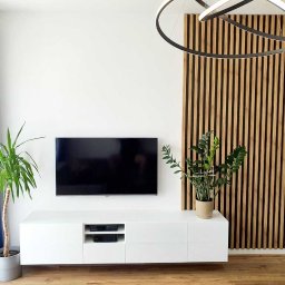 MW53 Sp. z o.o. - Nowoczesny salon z wiszącą szafką RTV, telewizorem, pionowymi lamelami dekoracyjnymi na ścianie, roślinami doniczkowymi i designerską lampą sufitową.