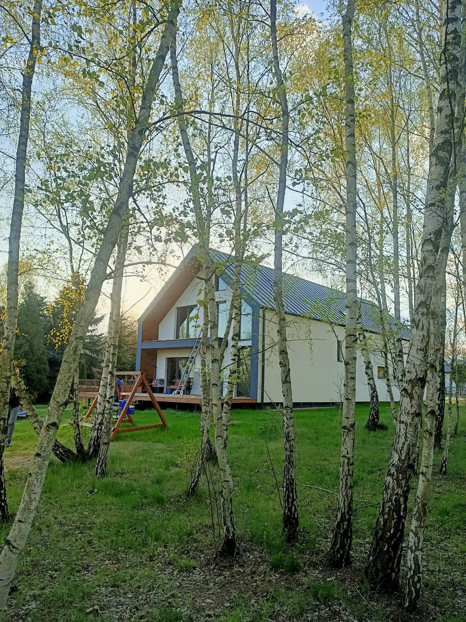 Nowoczesny dom z dużymi oknami, widziany przez las brzozowy, z drewnianym placem zabaw dla dzieci na pierwszym planie.