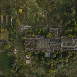 Tomasz Legierski - Widok z lotu ptaka na opuszczoną szklarnię zarośniętą roślinnością, betonowe fundamenty i fragmenty konstrukcji w otoczeniu traw i drzew.