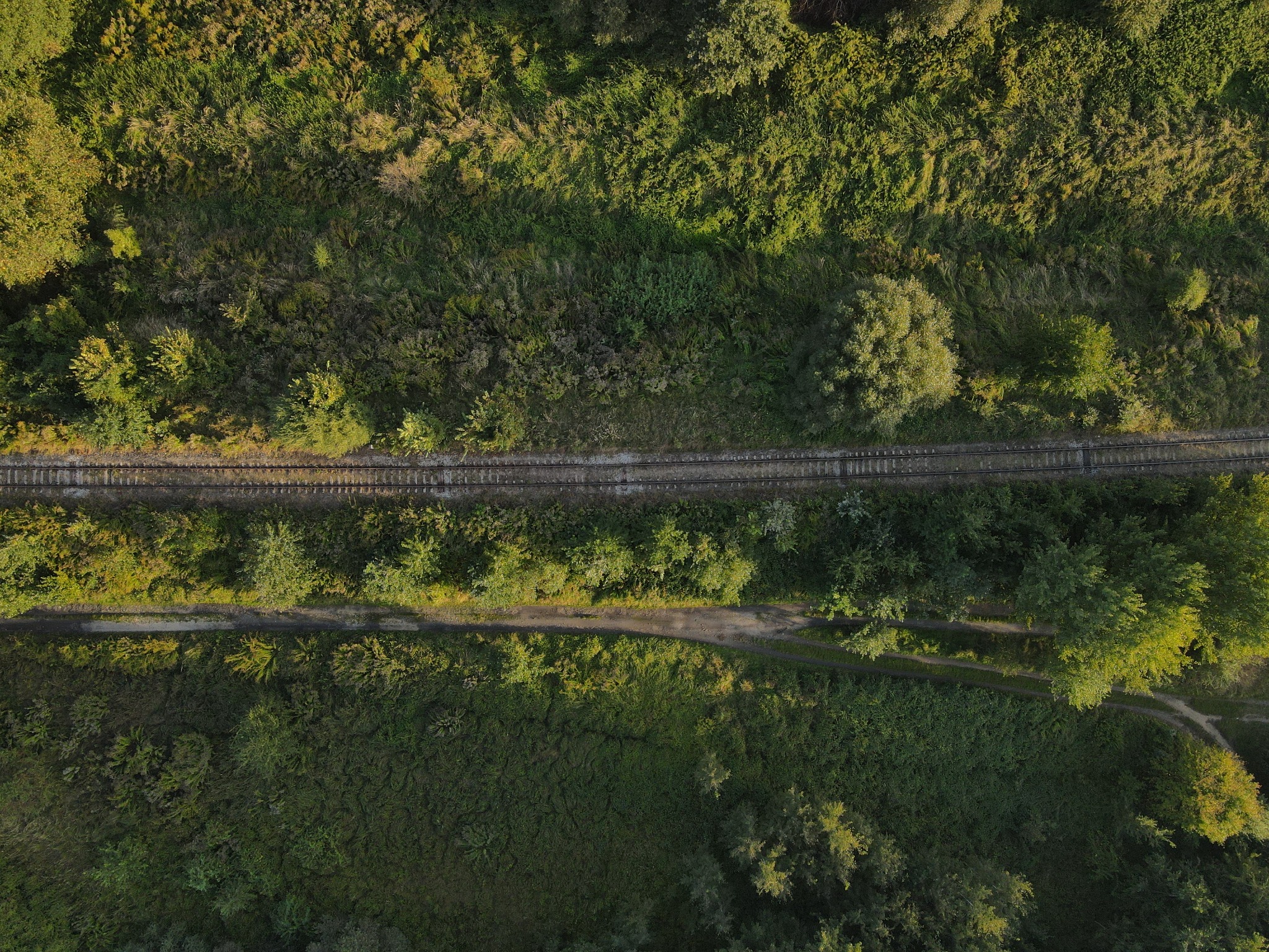 Widok z drona na tory kolejowe przecinające gęsty, zielony las w słoneczny dzień.