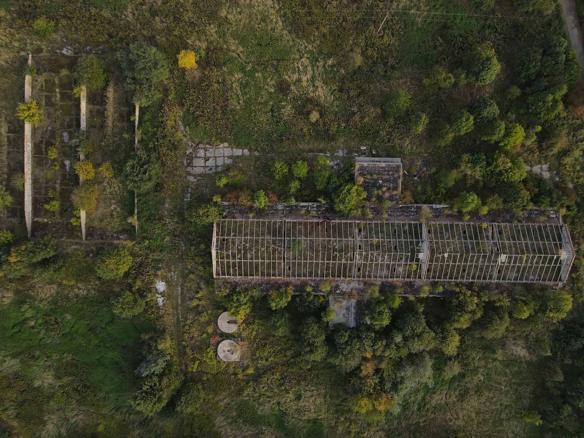 Widok z lotu ptaka na opuszczoną szklarnię zarośniętą roślinnością, betonowe fundamenty i fragmenty konstrukcji w otoczeniu traw i drzew.