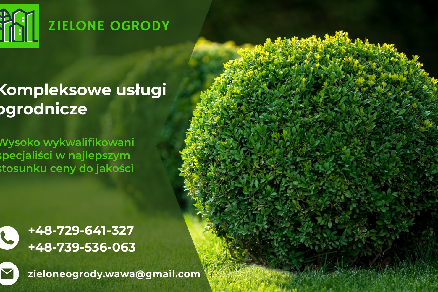 Reklama wizualna firmy ogrodniczej z idealnie przystrzyżonym bukszpanem w kształcie kuli na tle trawnika i innych krzewów, z logo i danymi kontaktowymi.