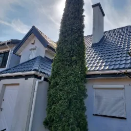 Nowoczesny dom z grafitową dachówką, jasną elewacją i wysokim, smukłym drzewem iglastym przy ścianie, widoczne okno z roletą zewnętrzną.