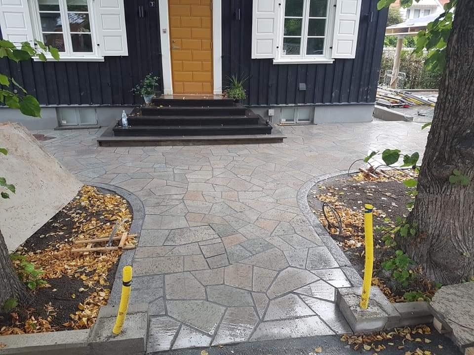 Ułożona ścieżka z nieregularnych płyt kamiennych prowadząca do domu z czarną elewacją i żółtymi drzwiami, widoczne żółte rury osłonowe przy drzewach, jesienne liście na rabatach.