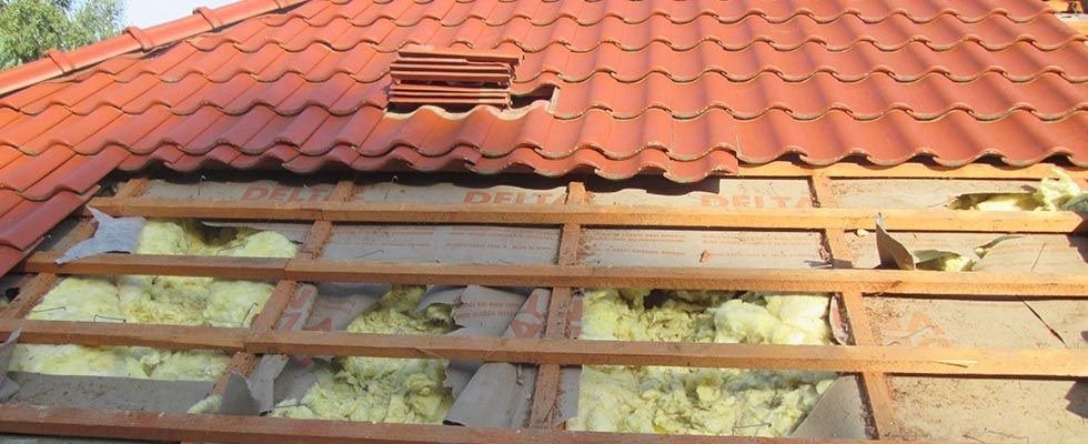 zniszczona wełna mineralna przez kunę domową