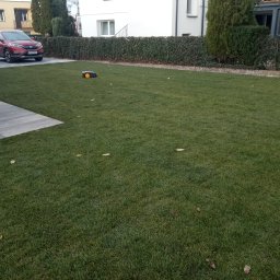 Układanie kostki brukowej Golina 2