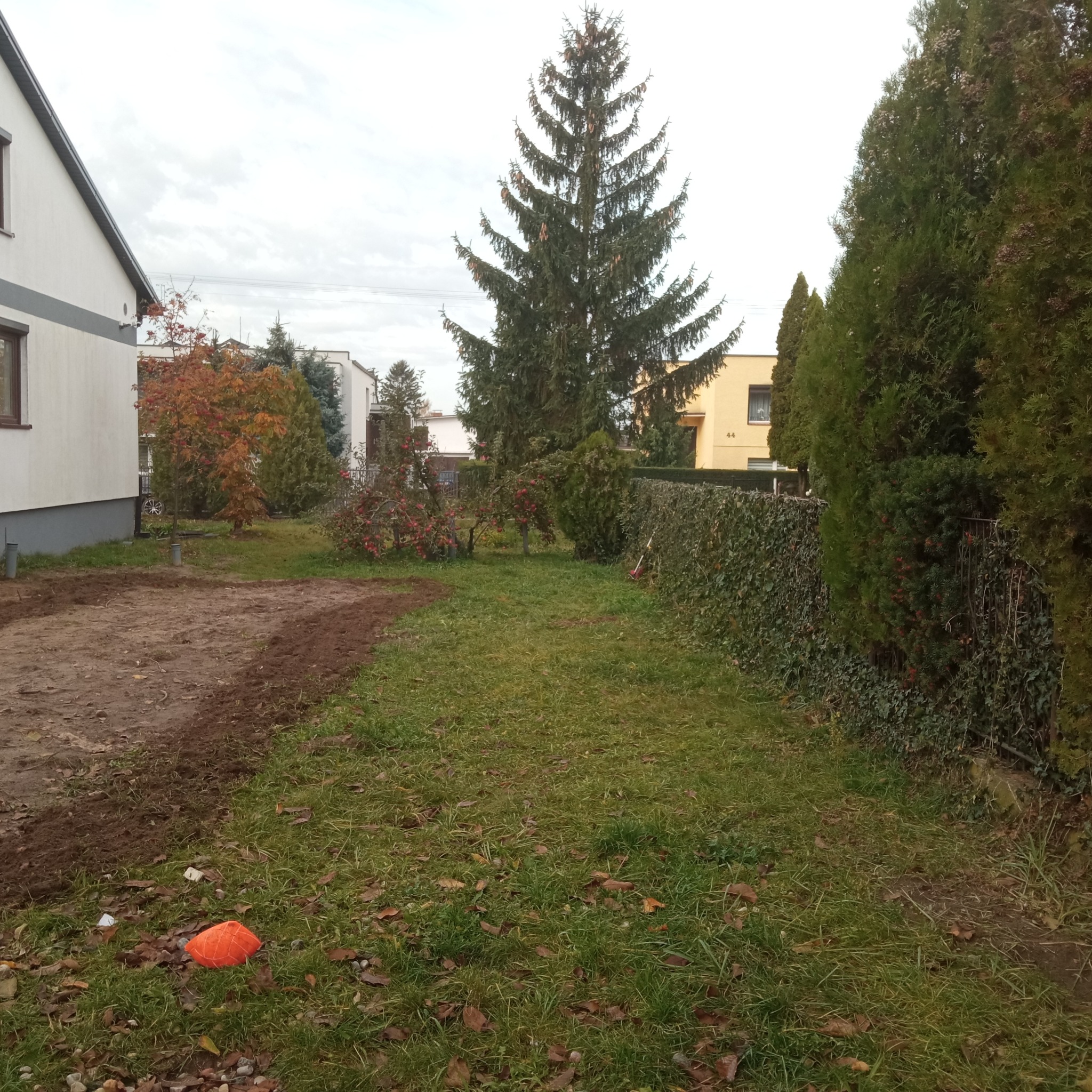 Przygotowany teren pod przyszły trawnik z rolki, widoczne obrzeża i fragment orange pachołka, w tle domy i drzewa.