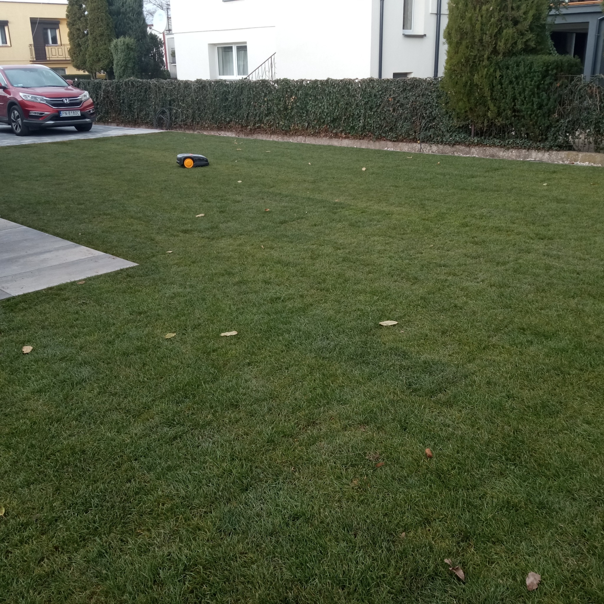 Robot koszący trawnik automatycznie pielęgnuje gęstą, zieloną trawę w ogrodzie przydomowym, z widoczną kostką brukową i żywopłotem w tle.