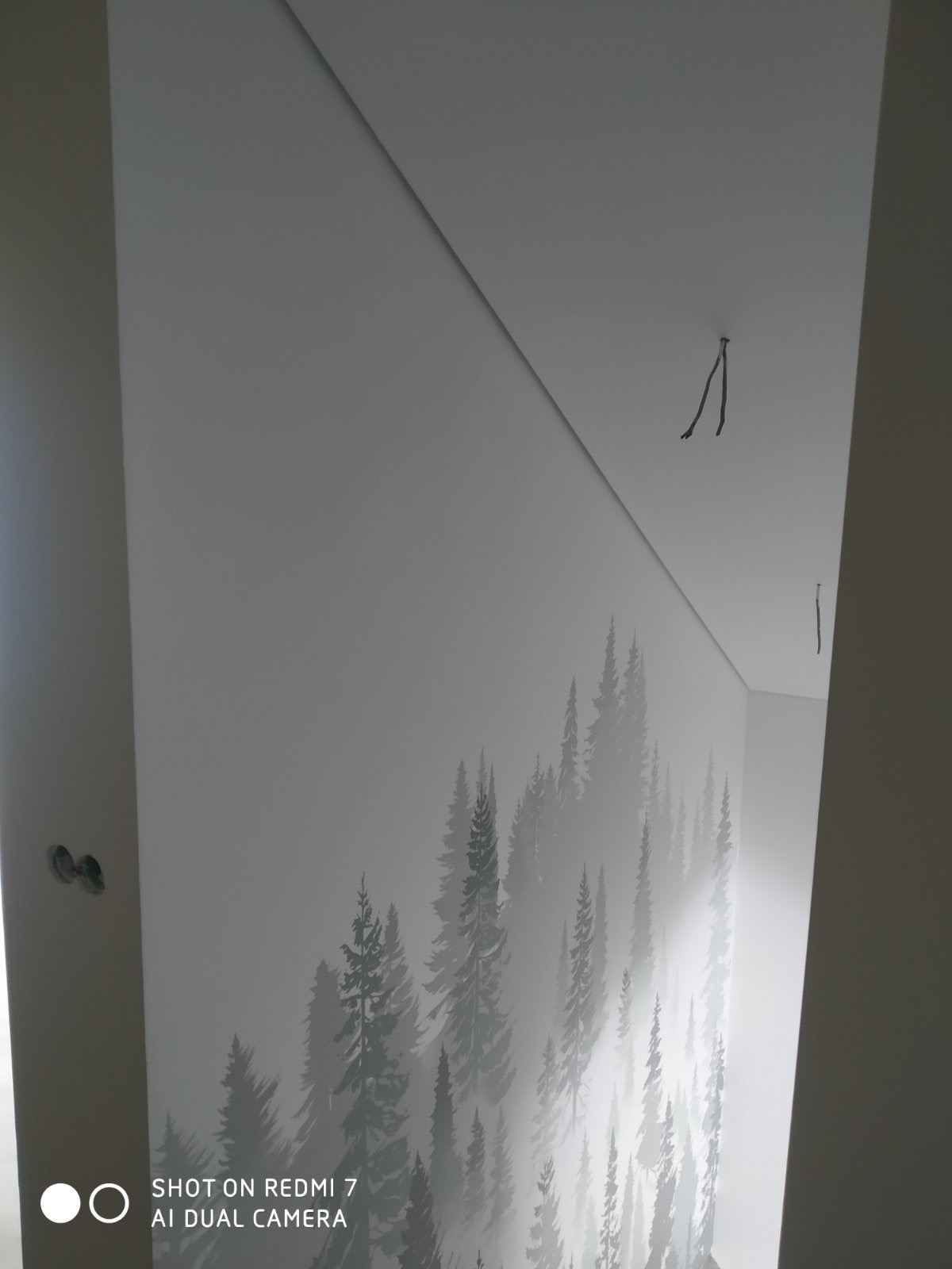 Ściana w Kołobrzegu z szarym motywem lasu iglastego, widoczne wystające kable ze ściany i sufitu, oraz gładź na łączeniu ściany z sufitem.