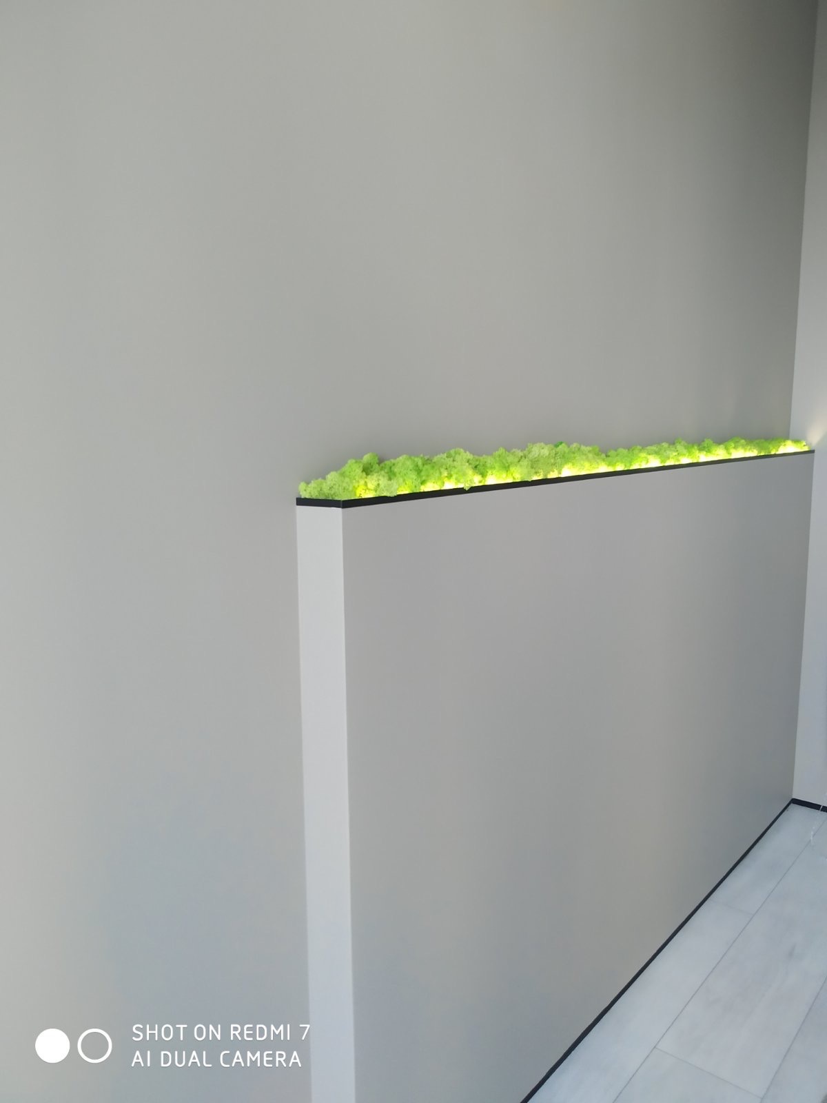 Szary fragment ściany z wbudowanym podświetlanym panelem z mchem dekoracyjnym, widoczne białe płytki podłogowe.