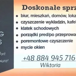 Wizytówka firmy sprzątającej Lion Job Cleaning Services z ofertą sprzątania biur, mieszkań, domów, lokali po imprezach, czyszczenia wykładzin, kafelek, klatek schodowych, porządków przed/po...