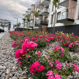 Układanie kostki brukowej Gliwice 1