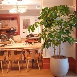 Gambit TH - Usługi Malarskie Wrocław