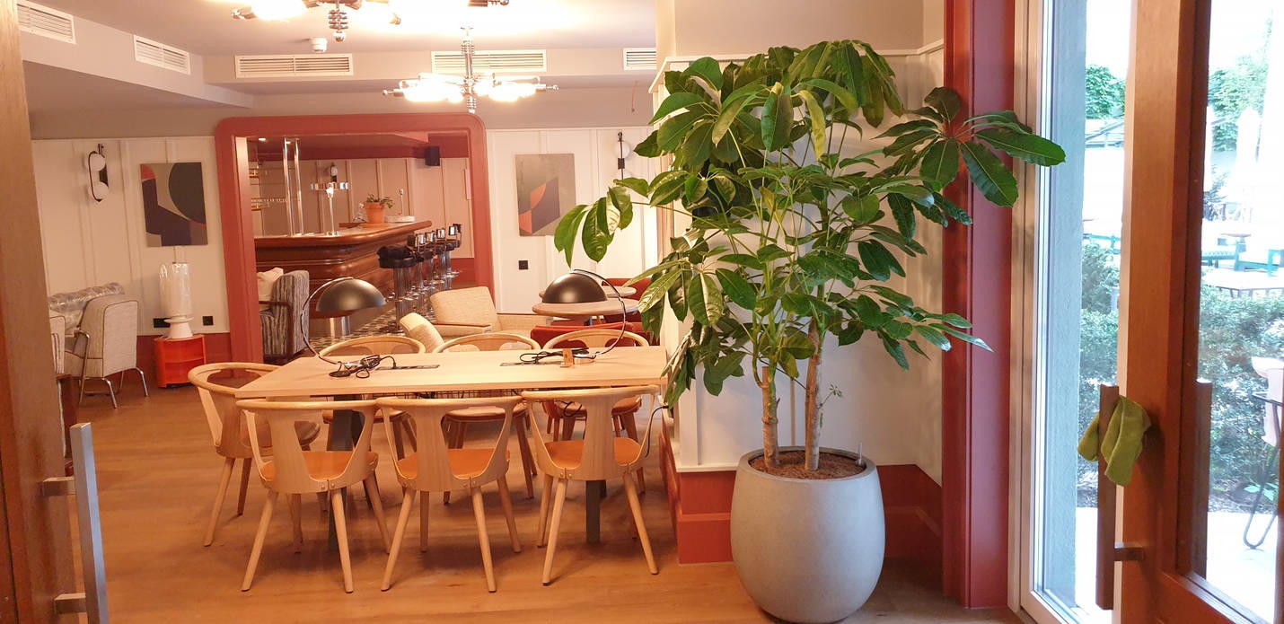 Jasne wnętrze biura z drewnianym stołem, krzesłami, lampkami biurkowymi i rośliną doniczkową, widok na bar w tle