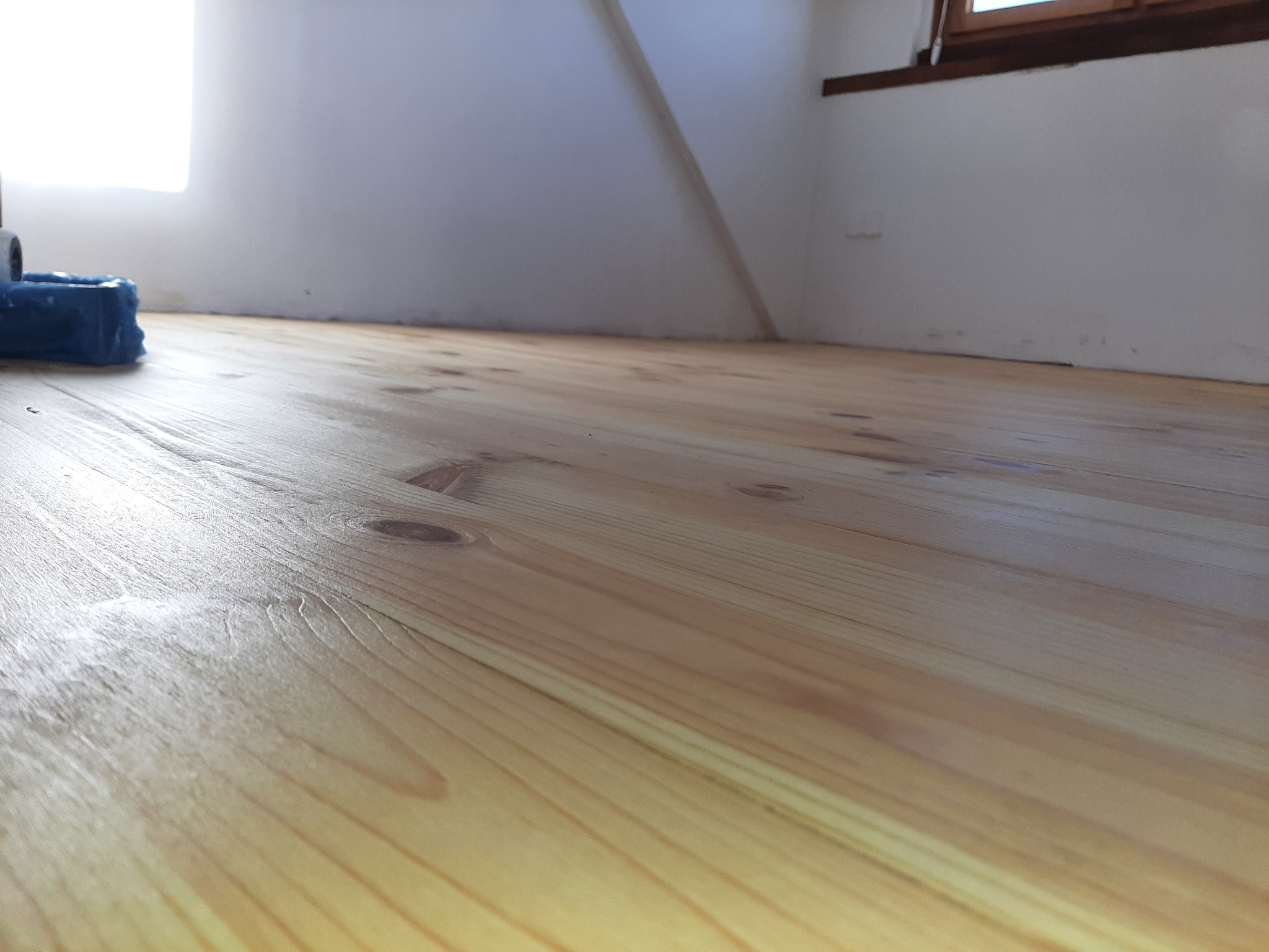 Jasny, świeżo wyszlifowany drewniany parkiet z widocznym niebieskim wałkiem malarskim w rogu pomieszczenia, ukazujący detale słojów drewna i minimalistyczne wnętrze.