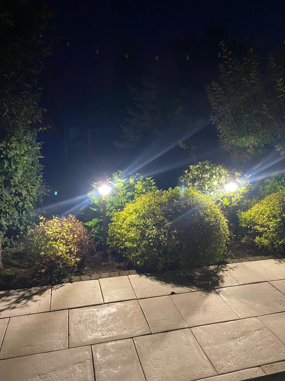 Oświetlony ogród nocą z lampami ogrodowymi na niskich słupkach, widoczne krzewy i kostka brukowa.