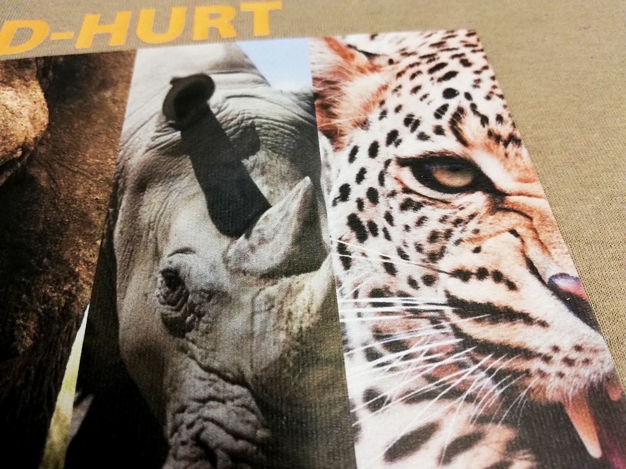 Nadruk transferowy na beżowej koszulce przedstawiający kolaż zwierząt: fragment słonia, nosorożca i zbliżenie na pysk geparda z widocznymi zębami.