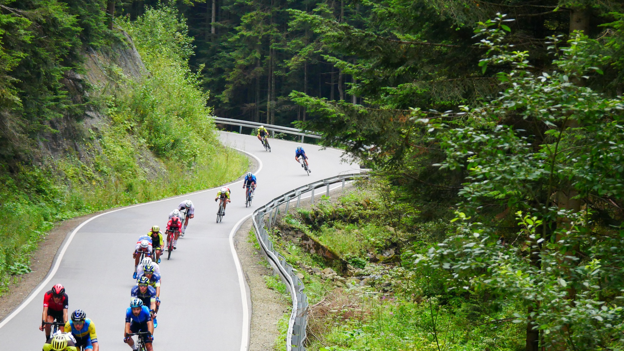 Grupa kolarzy w kolorowych strojach pokonuje serpentyny górskiej drogi otoczonej lasem.