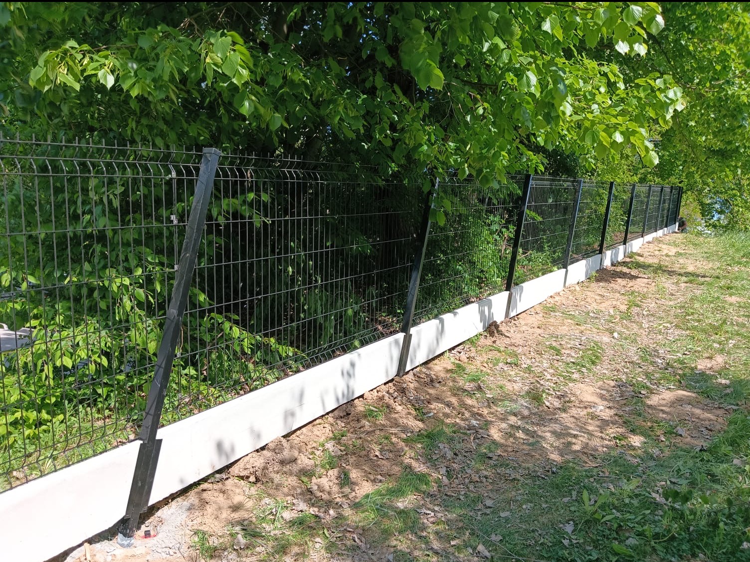 Nowoczesne ogrodzenie panelowe z podmurówką betonową na tle zieleni. Widoczne słupki i siatka w kolorze grafitowym. Dobre oświetlenie.